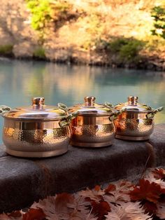 three pots sitting on top of a stone ledge next to leaves and water in the background