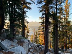 the sun shines through the trees and rocks