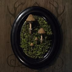 three mushrooms sitting on top of green moss in a black plate with an ornate design