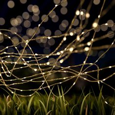 some grass with lights in the background