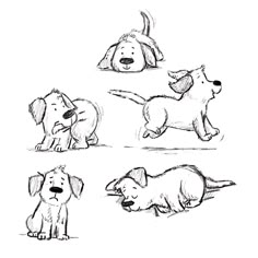 four different dogs are shown in black and white