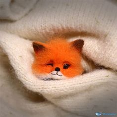 a small stuffed fox is peeking out from under a blanket