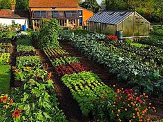 a garden with many different types of flowers and plants growing in the ground next to each other