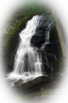 a waterfall in the woods with green grass