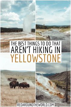 the best things to do that aren't hiking in yellowstone