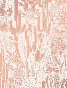 an image of a wallpaper with cactus and succulents in pink on white