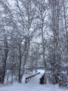 a wooden bridge in the middle of a snowy forest