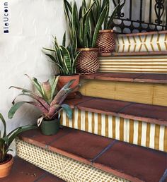 some potted plants are sitting on the steps