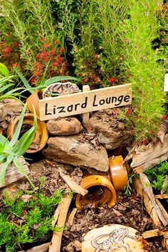 there is a sign that says lizard lounge in the middle of some rocks and plants