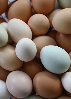 an assortment of brown and white eggs