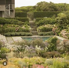 an outdoor garden with stairs leading up to a pool surrounded by flowers and shrubs,