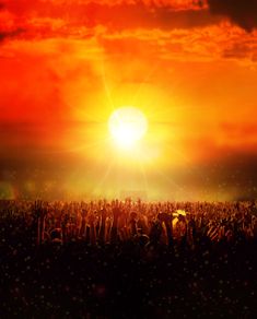 the sun is setting over an open field with many hands in the foreground, and clouds in the background