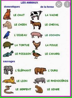 an animal chart with different types of animals and their names in french, english or spanish