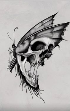 a drawing of a skull with a butterfly on it's head