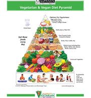 New Vegetarian and Vegan Food Pyramid and plant-based diet/nutrition guidelines Vegan Food Pyramid, Resep Diet, Food Pyramid, Vegan Nutrition, Diet Vegetarian, Idee Pasto Sano, Tempeh, Vegetarian Diet, Healthy Vegetarian