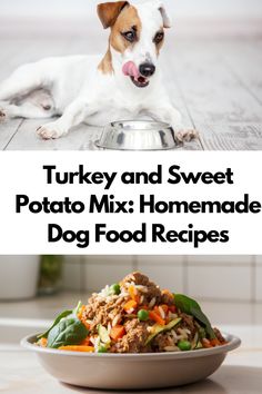 a dog laying on the floor next to a bowl of food with text overlay that reads turkey and sweet potato mix homemade dog food recipes