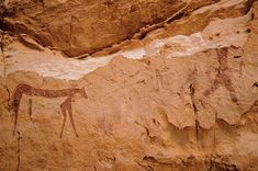 an animal painted on the side of a rock