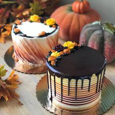 two decorated cakes sitting on top of a wooden table next to leaves and pumpkins