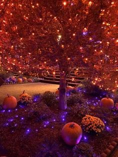 pumpkins lit up on the ground in front of a tree with purple and orange lights