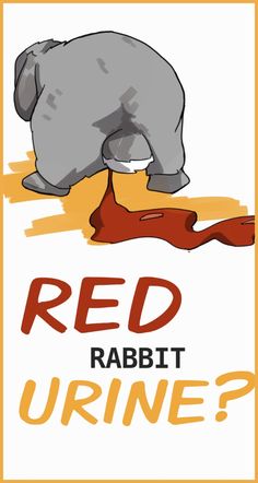 a red rabbit urine sign with an elephant on it's back and the words, red rabbit urine?