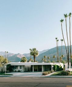 palm trees line the street in front of a white house with mountains in the background