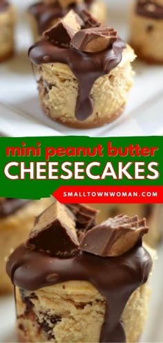 mini peanut butter cheesecakes with chocolate drizzled on top and bottom