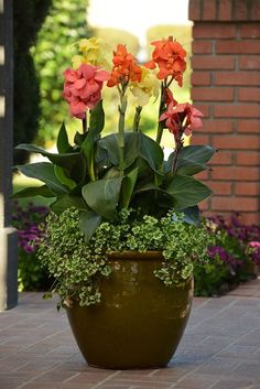 a potted plant with pink and yellow flowers sitting on a brick walkway in front of a house