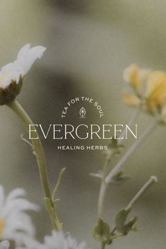 an image of flowers with the words evergreen in white and yellow on it