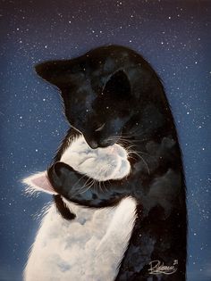 a painting of a black and white cat hugging it's face with stars in the background