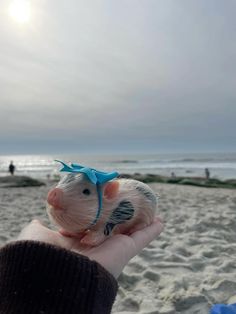 a person holding a toy hamster on the beach