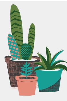 three potted plants in different colors on a white background