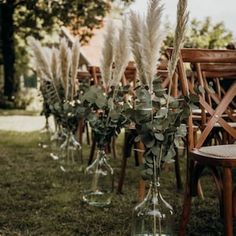 there are many vases with plants in them on the grass field, and one is empty