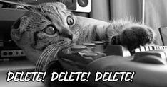 a black and white photo of a cat laying on top of a computer keyboard with the caption, delete delete delete delete delete