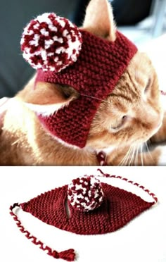 a cat is wearing a knitted hat and has its eyes closed to the camera