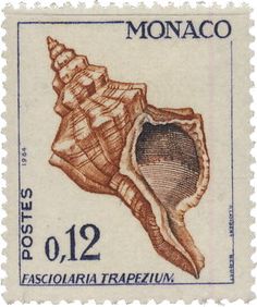 a stamp with an image of a sea shell on it's front and side