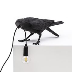 a black bird is plugged in to a light bulb on a white surface,