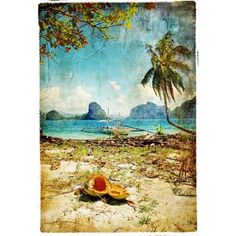 an image of a seashell on the beach with palm trees in the foreground