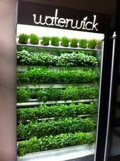 an indoor hydropony system with plants growing in it's walls and the words uttenuck above them