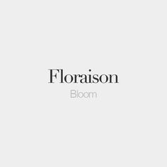 the logo for florison bloom is shown in black on a light gray background