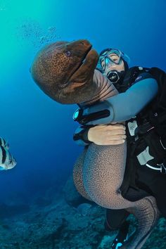 a woman scubas in the ocean with a large fish on her back, and another person wearing diving gear behind her