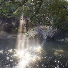 the sun shines brightly through the trees over the water