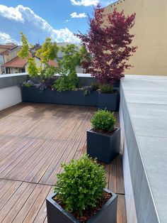 three planters are sitting on the wooden decking near some trees and bushes, with buildings in the background