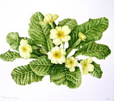 a painting of yellow flowers and green leaves