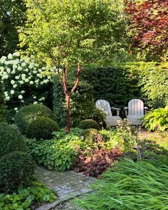 a garden with bushes and chairs in it