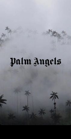 palm trees are in the fog with the word palm angels on it's side