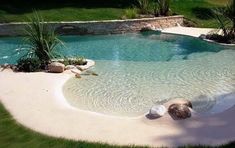 an empty pool in the middle of a lush green yard with rocks and plants around it