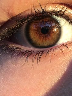 Dark Hazel Eyes Aesthetic, Pretty Brown Eyes Aesthetic, Dark Hazel Eyes, Green Brown Eyes, Hazel Brown Eyes, Teal Eyeshadow, Brown Eyes Aesthetic, Hazel Eye Makeup, Pretty Brown Eyes