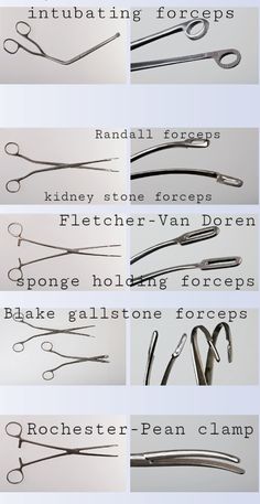 several different types of scissors are shown in this image, with the names below them