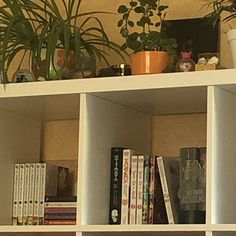 the bookshelf is filled with plants and books