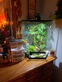 a fish tank sitting on top of a wooden table